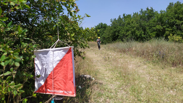 Зелени градски лагери