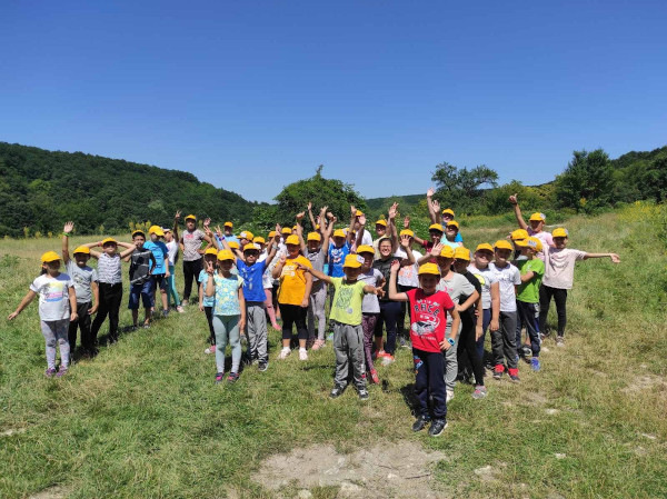 Зелени градски лагери